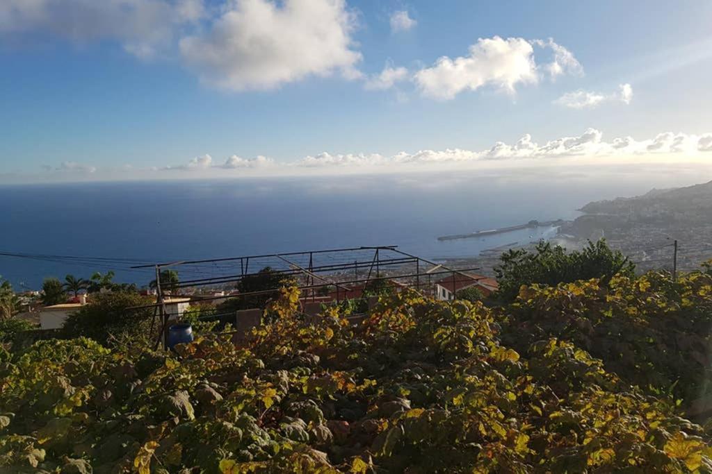 City View Gardens Funchal  Esterno foto