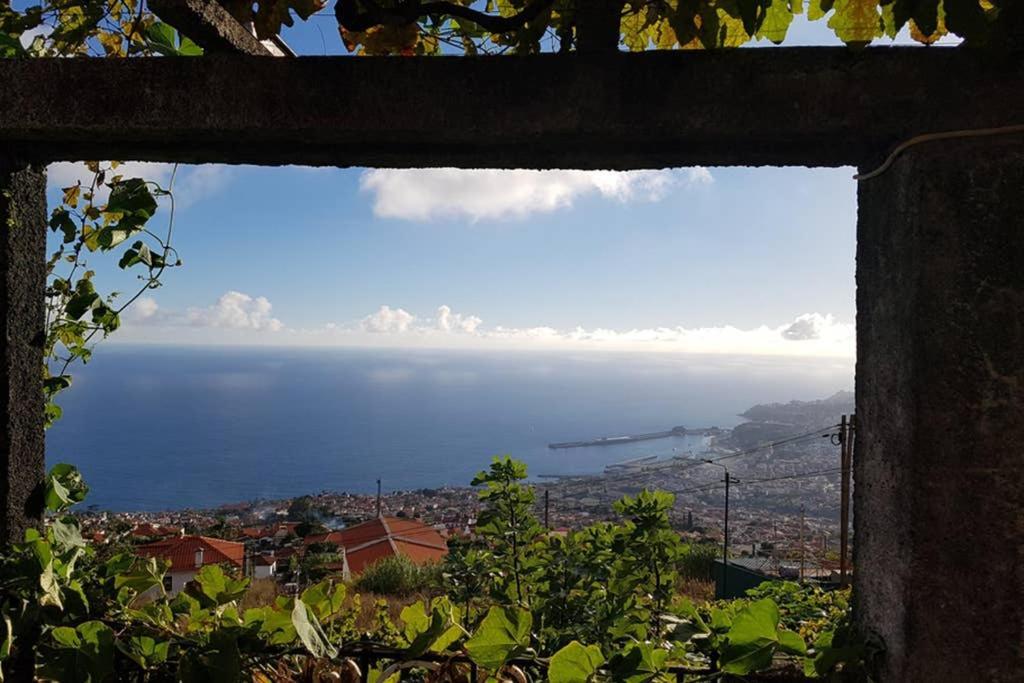 City View Gardens Funchal  Esterno foto